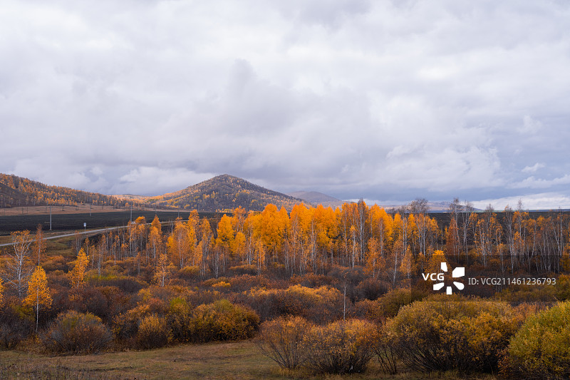 中国内蒙古呼伦贝尔市额尔古纳市中国最美边防公路卡线秋天自然风景图片素材