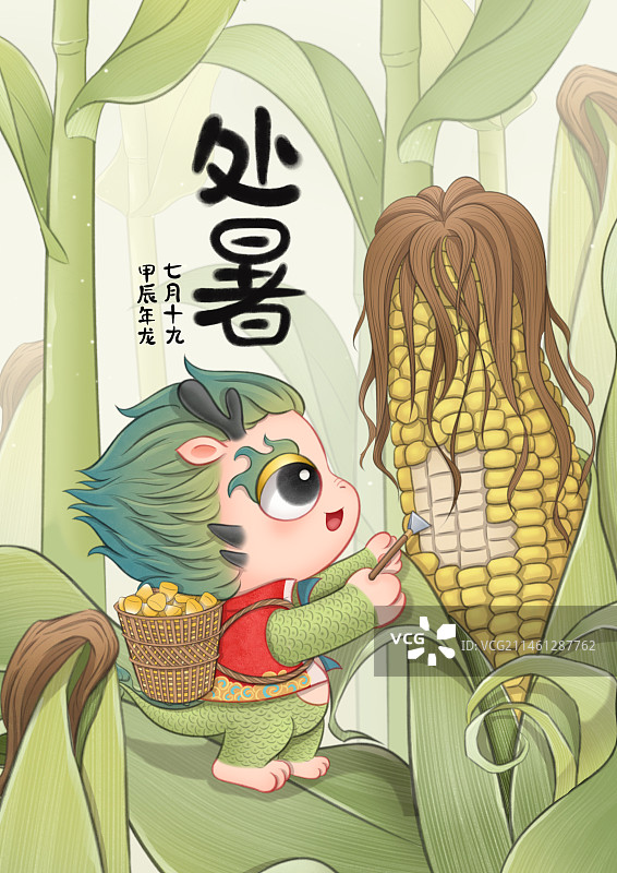 处暑龙宝在玉米地里摘玉米图片素材