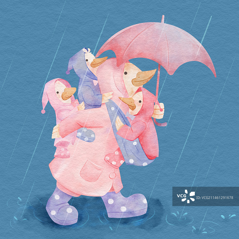 鸭妈妈背着小鸭子们雨中散步图片素材