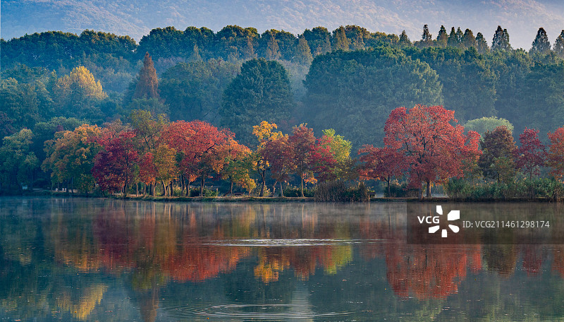 南京前湖公园乌桕图片素材