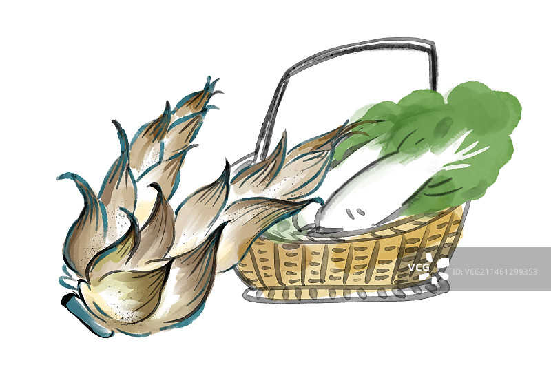 竹笋白菜图片素材