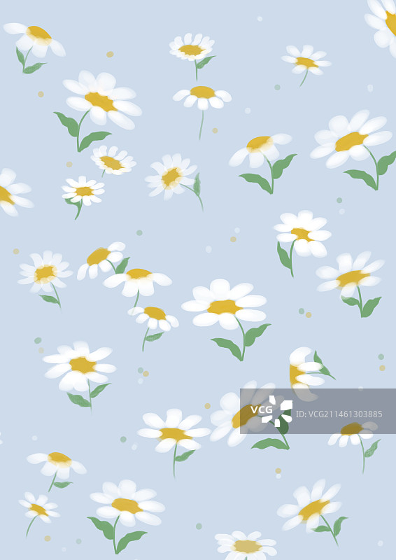 洋甘菊壁纸图片素材