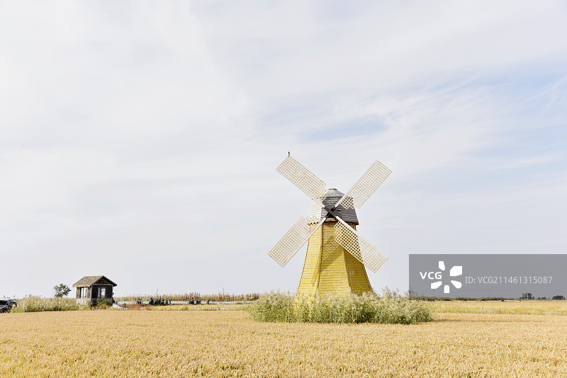 红海滩旁的稻田公园一角图片素材