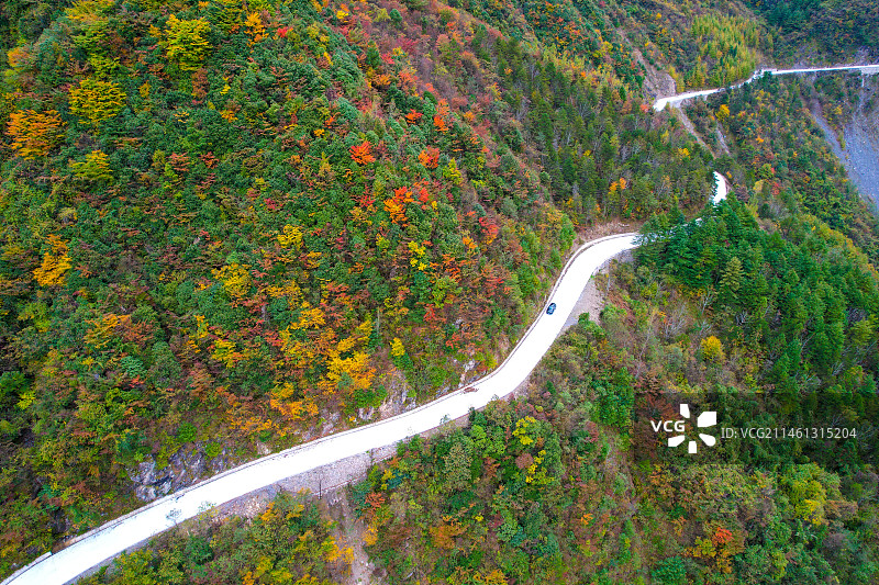 重庆开州雪宝山秋色图片素材