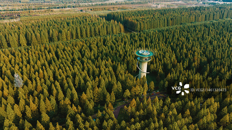 江苏东台黄海森林公园图片素材