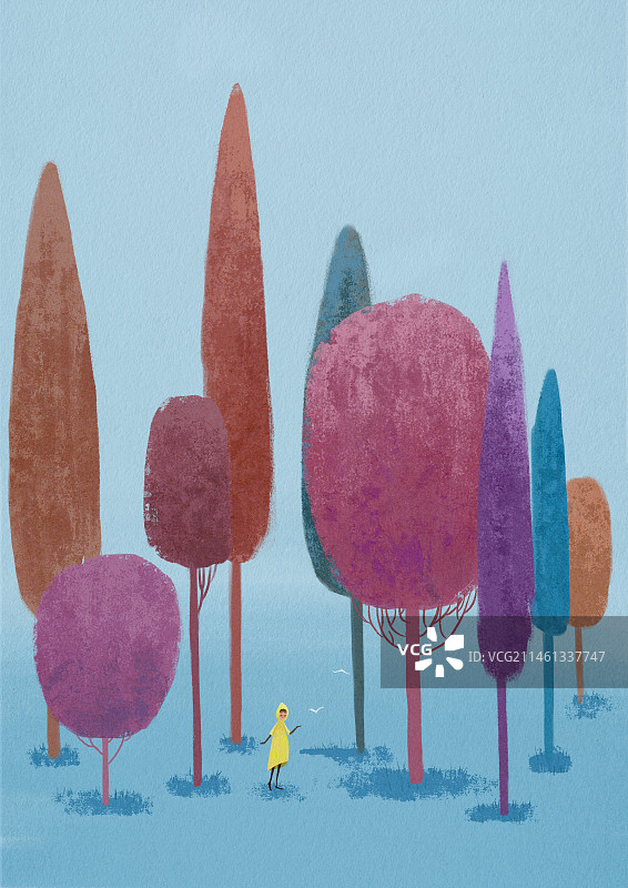 七彩森林图片素材