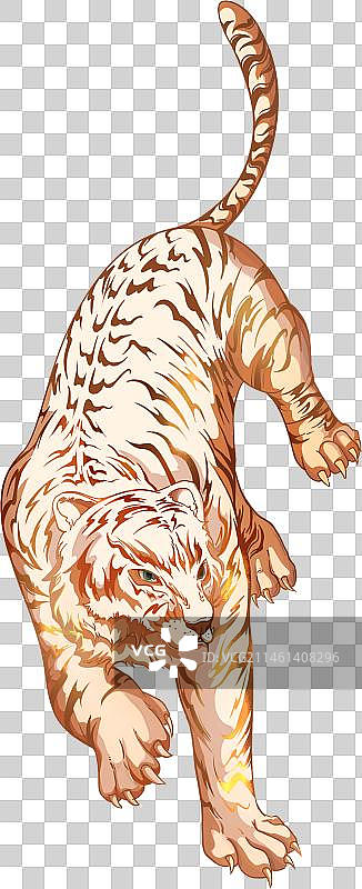 国潮风霸气白虎插画元素图片素材