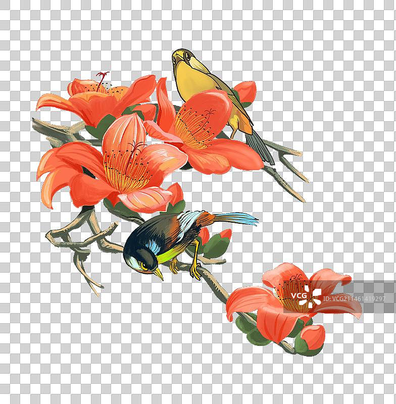 木棉花和鸟图片素材
