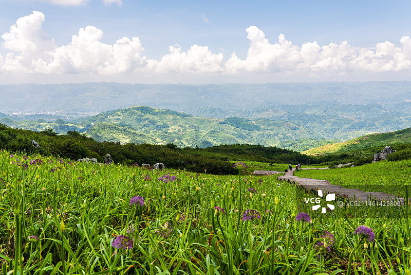 贵州六盘水乌蒙山区韭菜坪图片素材