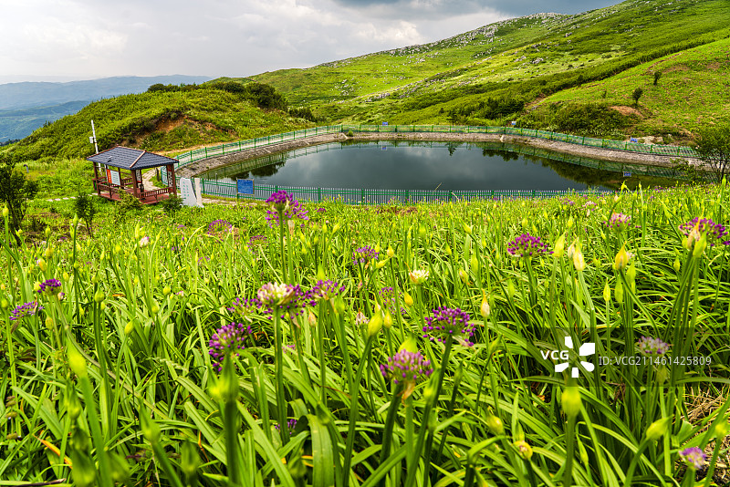 贵州六盘水乌蒙山区韭菜坪图片素材