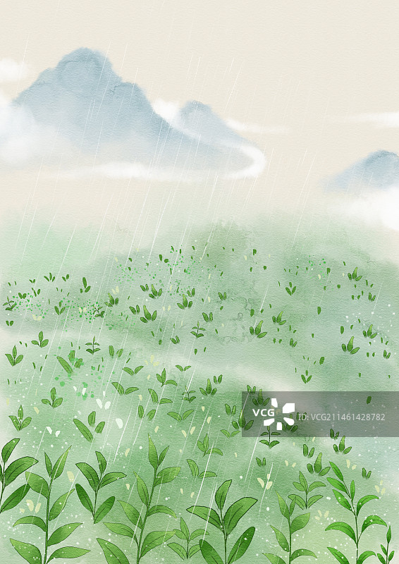 茶园风景图片素材