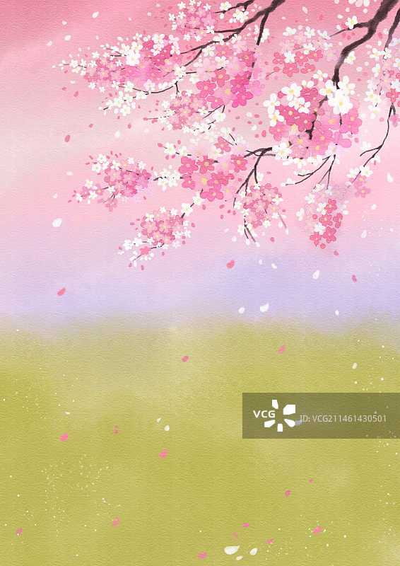 春天的花树图片素材