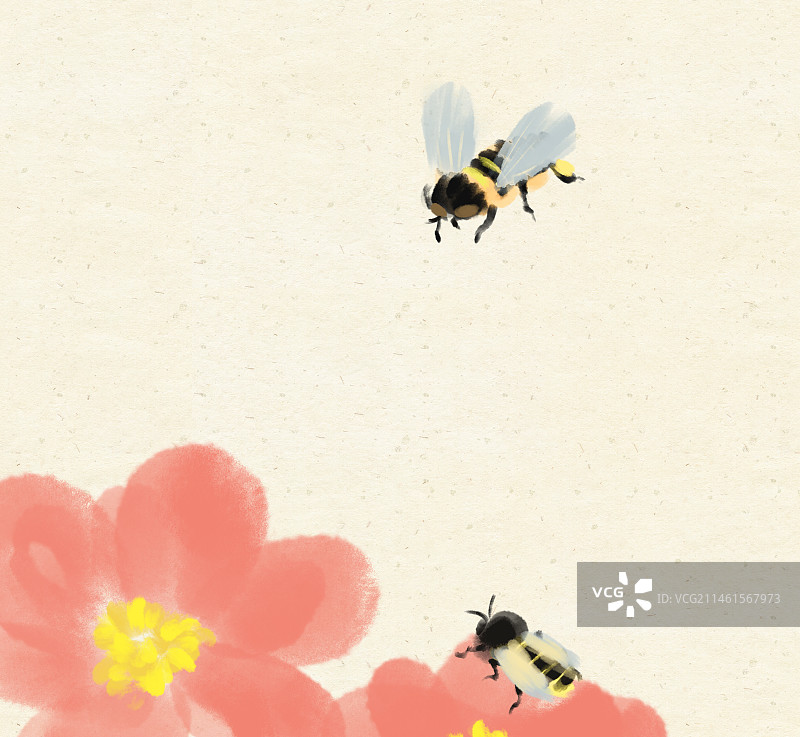 一朵红色的花上两只蜜蜂勤劳的采蜜风景插画图片素材
