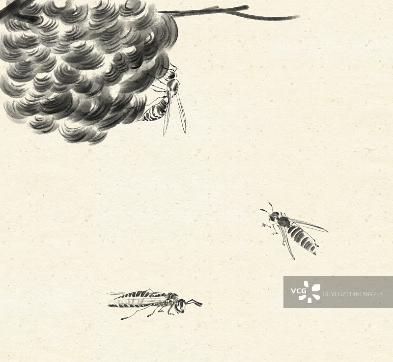 大黄蜂窝水墨国画图片素材