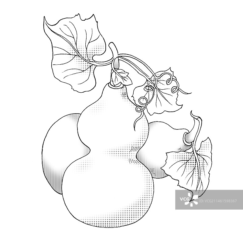 葫芦图片素材