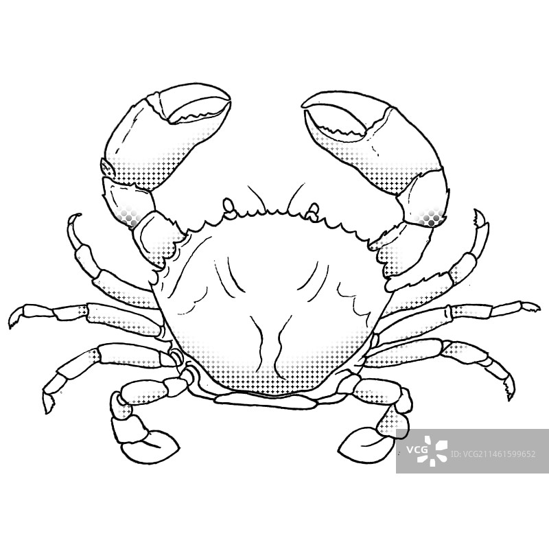 螃蟹图片素材