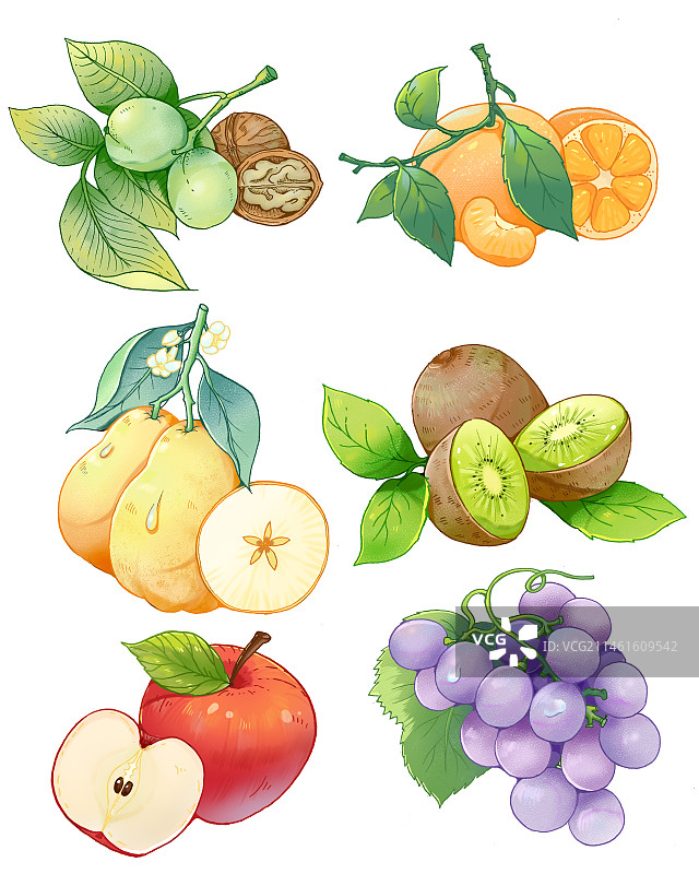 核桃橘子梨猕猴桃苹果葡萄图片素材