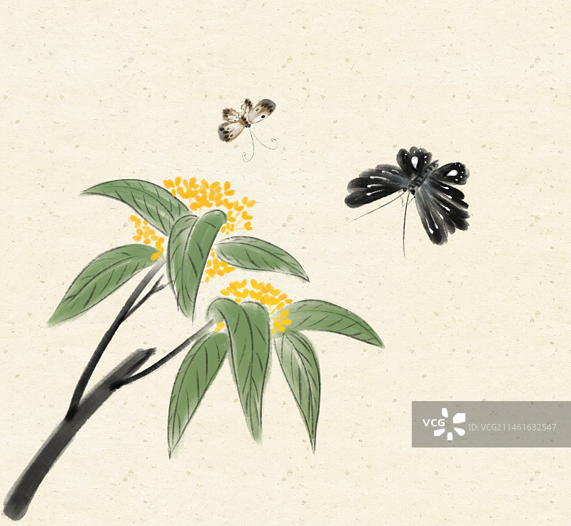秋天桂花香两只蝴蝶翩翩起舞风景国画图片素材