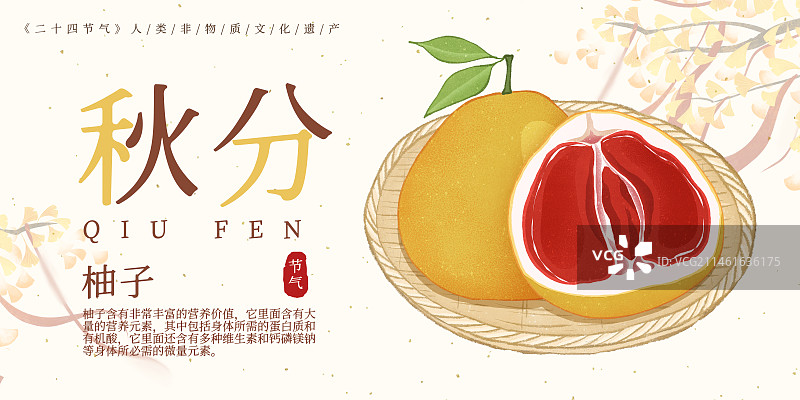 二十四节气秋分美食柚子插画模板海报图片素材