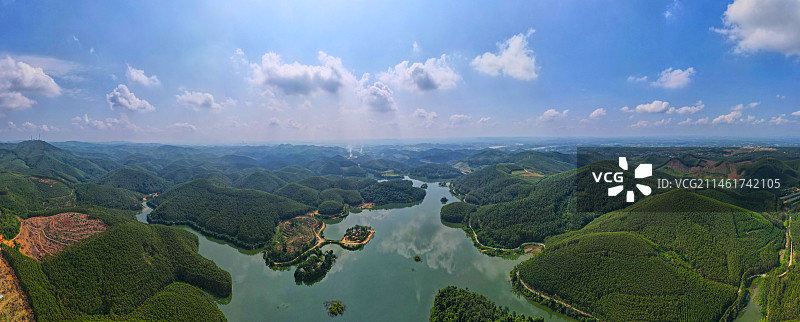 桉树林速生桉水库广西林业高峰林场经济林图片素材