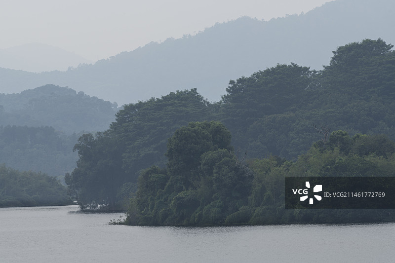 雾气缭绕的山，同沙生态公园，东莞图片素材