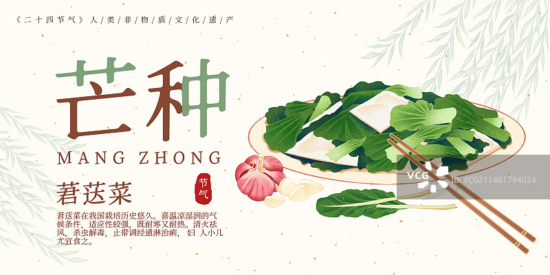 二十四节气芒种美食莙荙菜插画模板海报图片素材