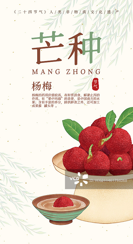 二十四节气芒种美食杨梅插画模板海报图片素材