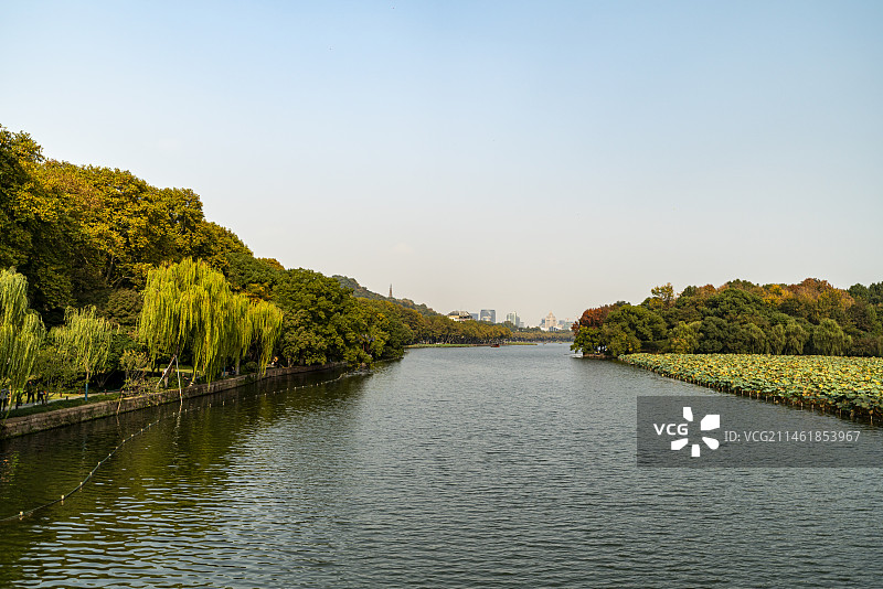 杭州西泠桥上观北山街秋色美图片素材