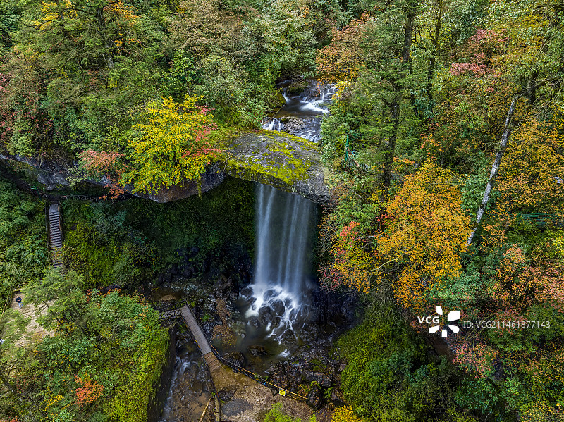 四川荥经龙苍沟国家森林公园天生桥风景图片素材