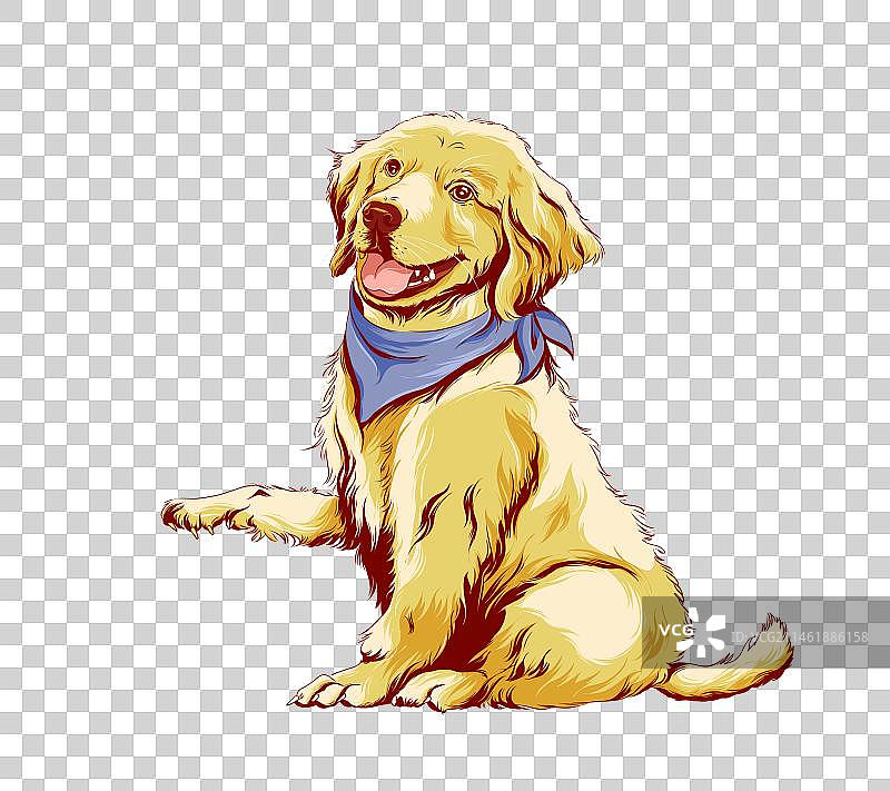 坐着抬手的金毛狗图片素材