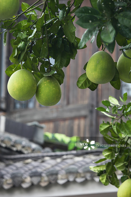 安徽歙县徽州古城建筑和人文汪满田鱼灯图片素材