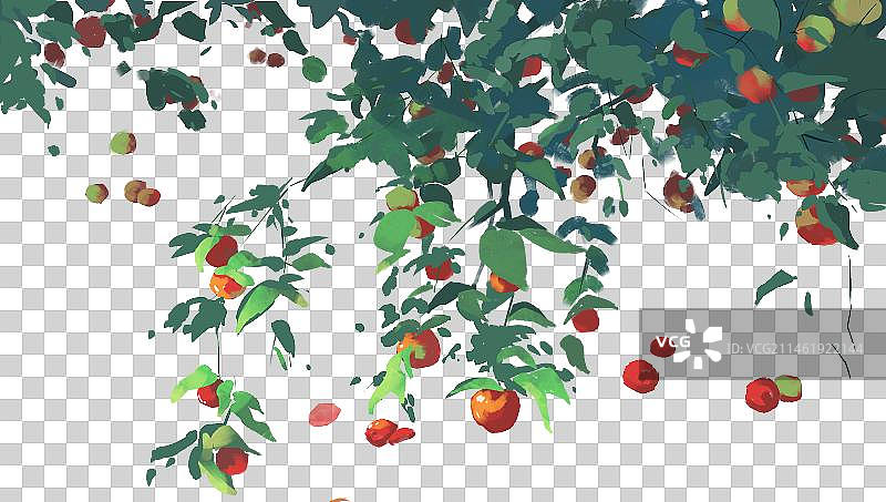 果树插画png元素图片素材