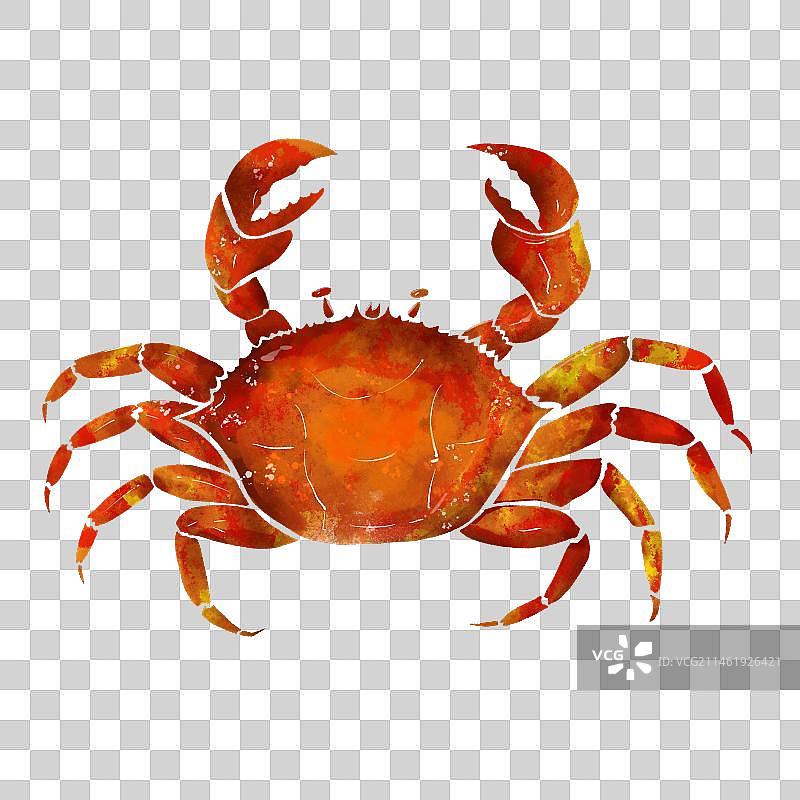 螃蟹图片素材