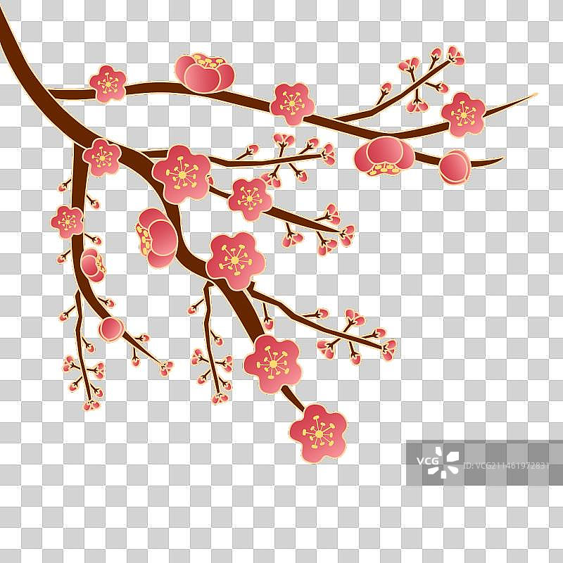 梅花插画矢量元素图片素材