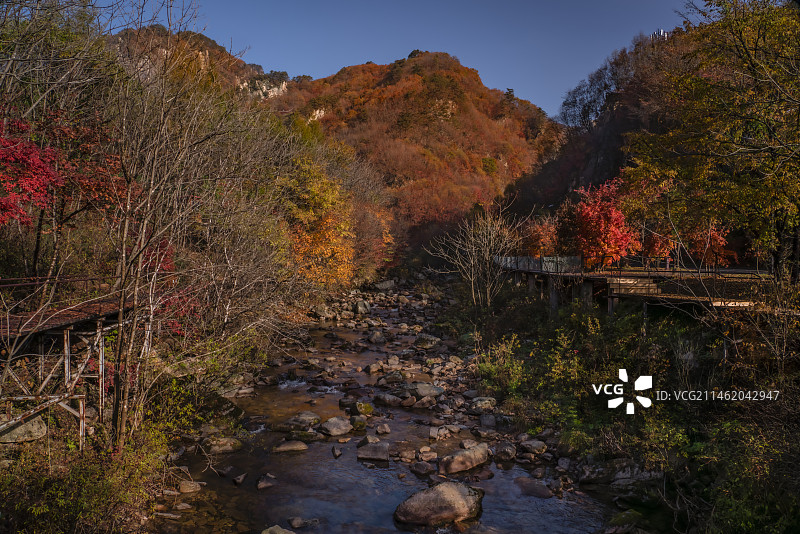 红枫季～辽宁丹东天桥沟图片素材