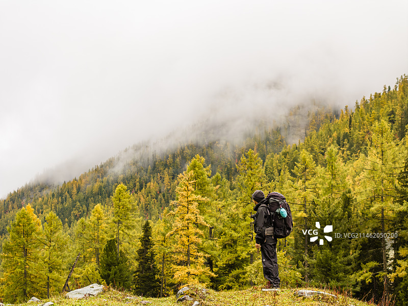 在喀纳斯徒步旅行的人图片素材