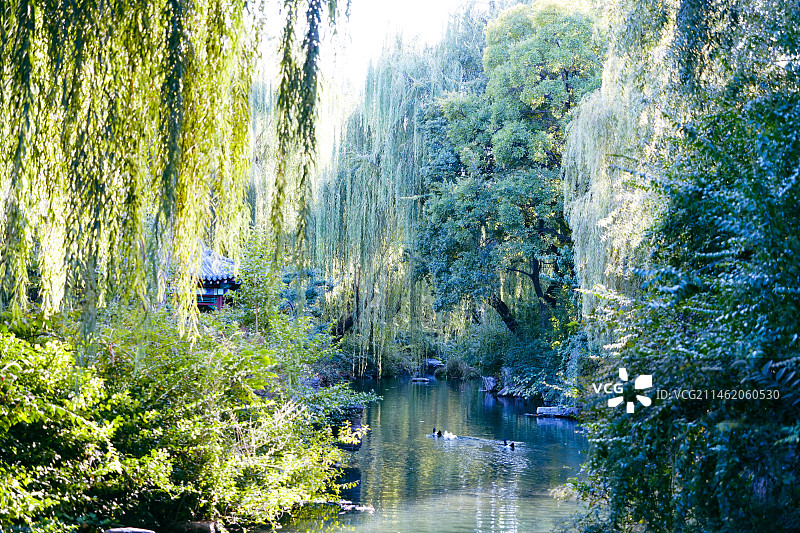 济南五龙潭图片素材