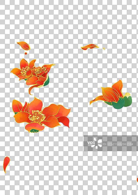木棉花图片素材
