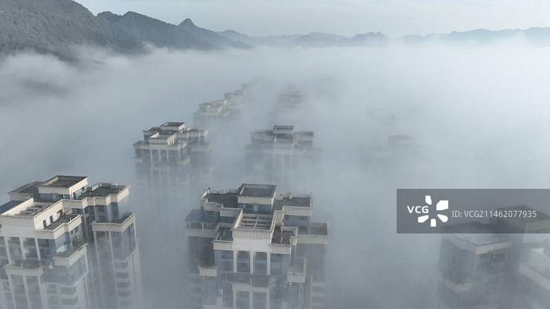 大雾笼罩贵州遵义，高耸连排的建筑物树立在空中，若隐若现，酷似雾中“森林”，十分壮观图片素材