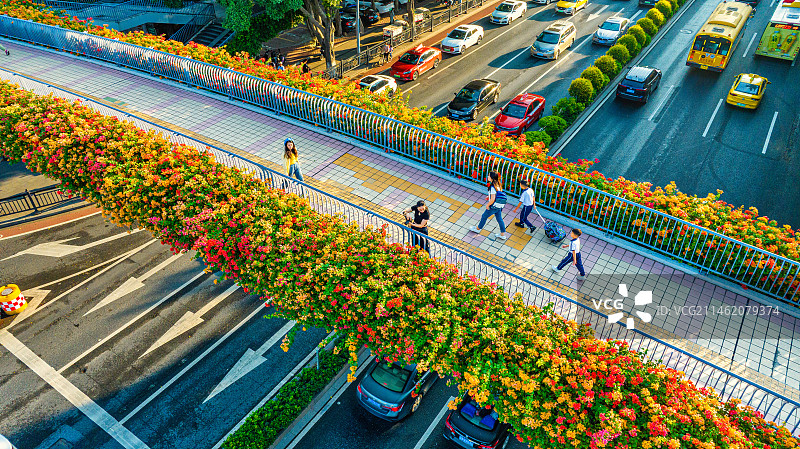 秋季的羊城图片素材