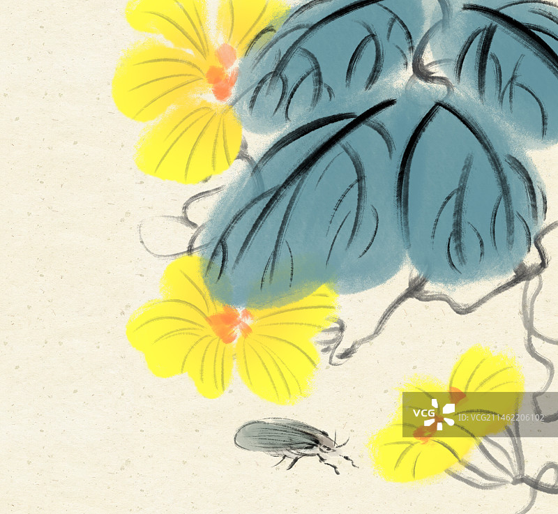 南瓜花与蛾子水墨国画装饰图片素材