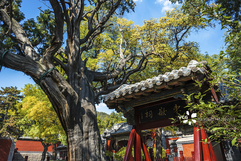 山西 晋祠博物馆图片素材