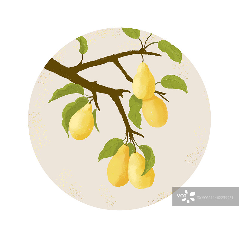 梨子水果手绘水彩风格插画图片素材