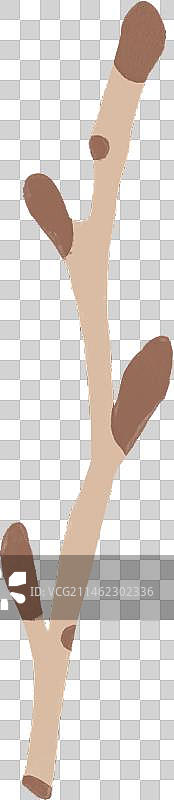 树枝、小鸟、森林图片素材