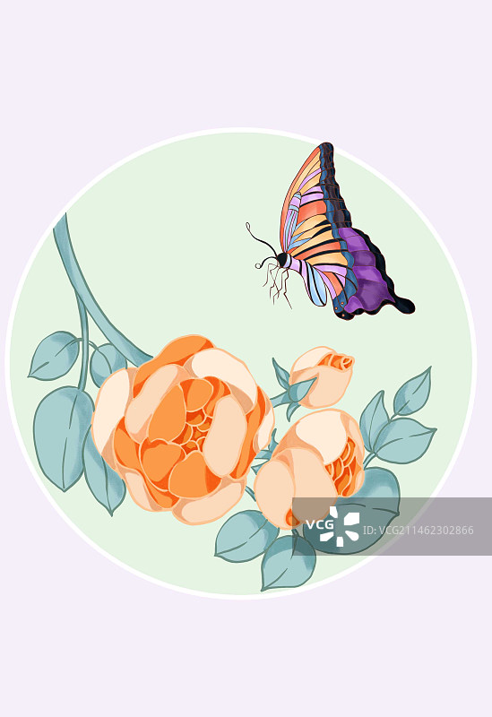 圆形构图蝴蝶与月季花朵图片素材