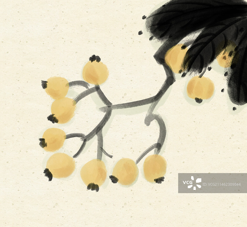 水墨枇杷传统美食图片素材