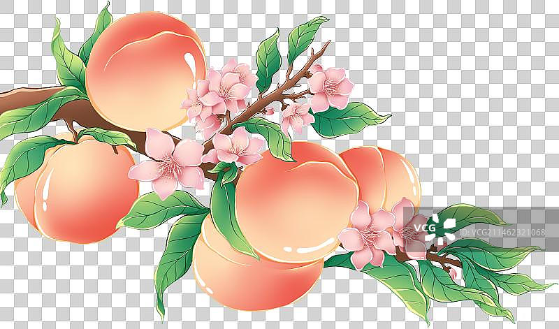 香甜水蜜桃图片素材