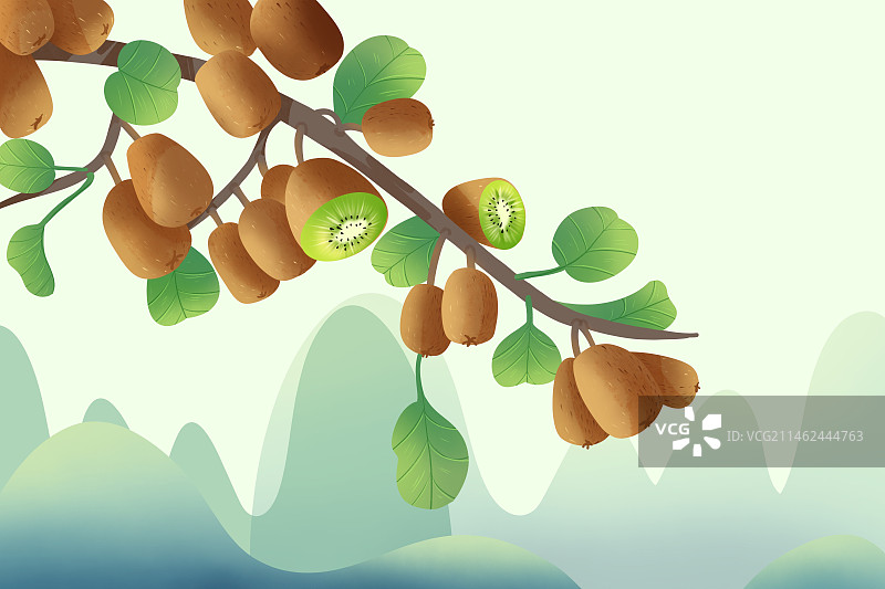 手绘国风猕猴桃图片素材