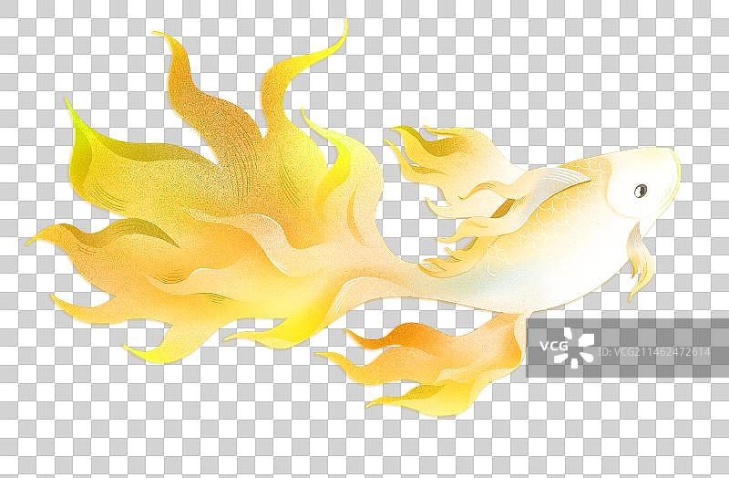 手绘风金色锦鲤插画元素图片素材
