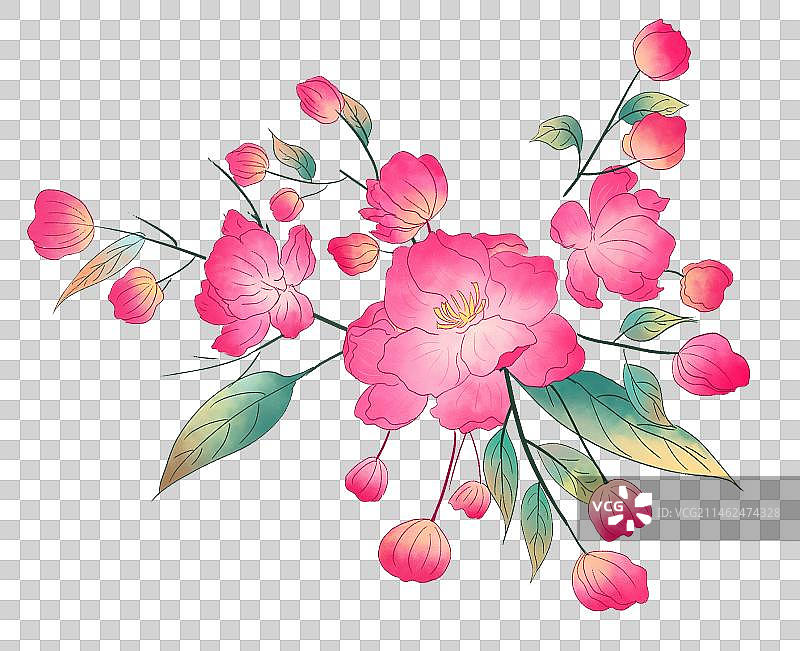 盛开的鲜花图片素材